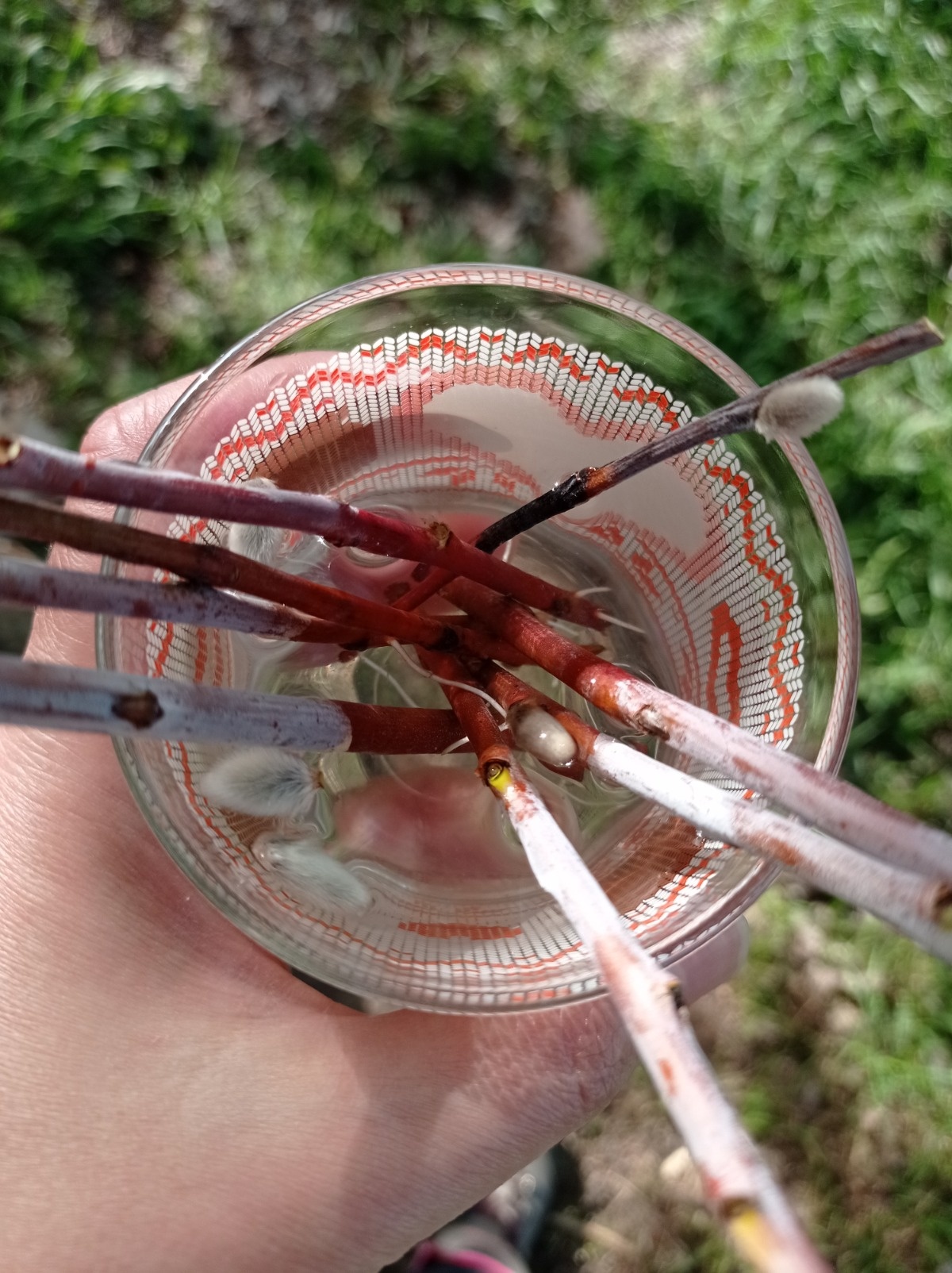 f903d3f5-670e-4fb0-83ab-237b961038bd