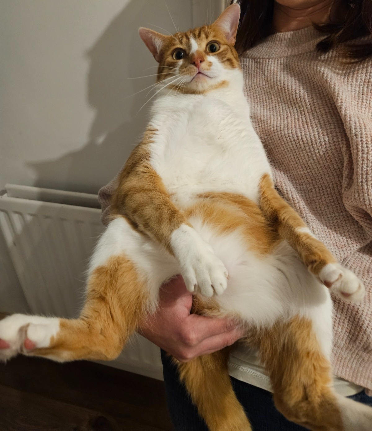 32781568-a451-4d27-a069-c1923cab8a8e