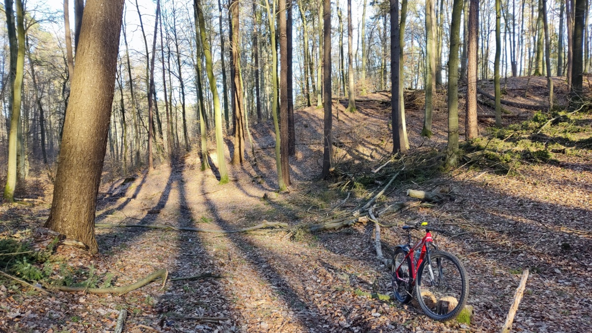 14954f4a-6fa5-4a88-bb5c-555bd39b5409