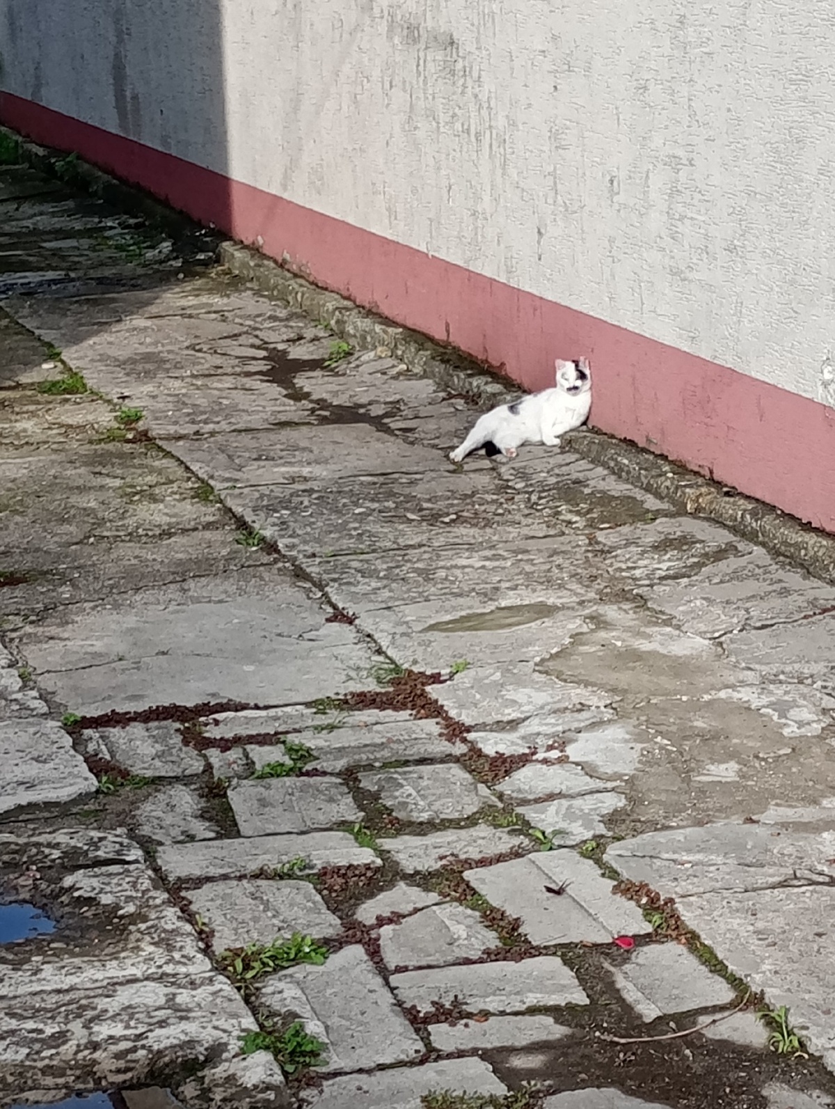 0b42839e-9ad5-4186-834d-5a29299bb573