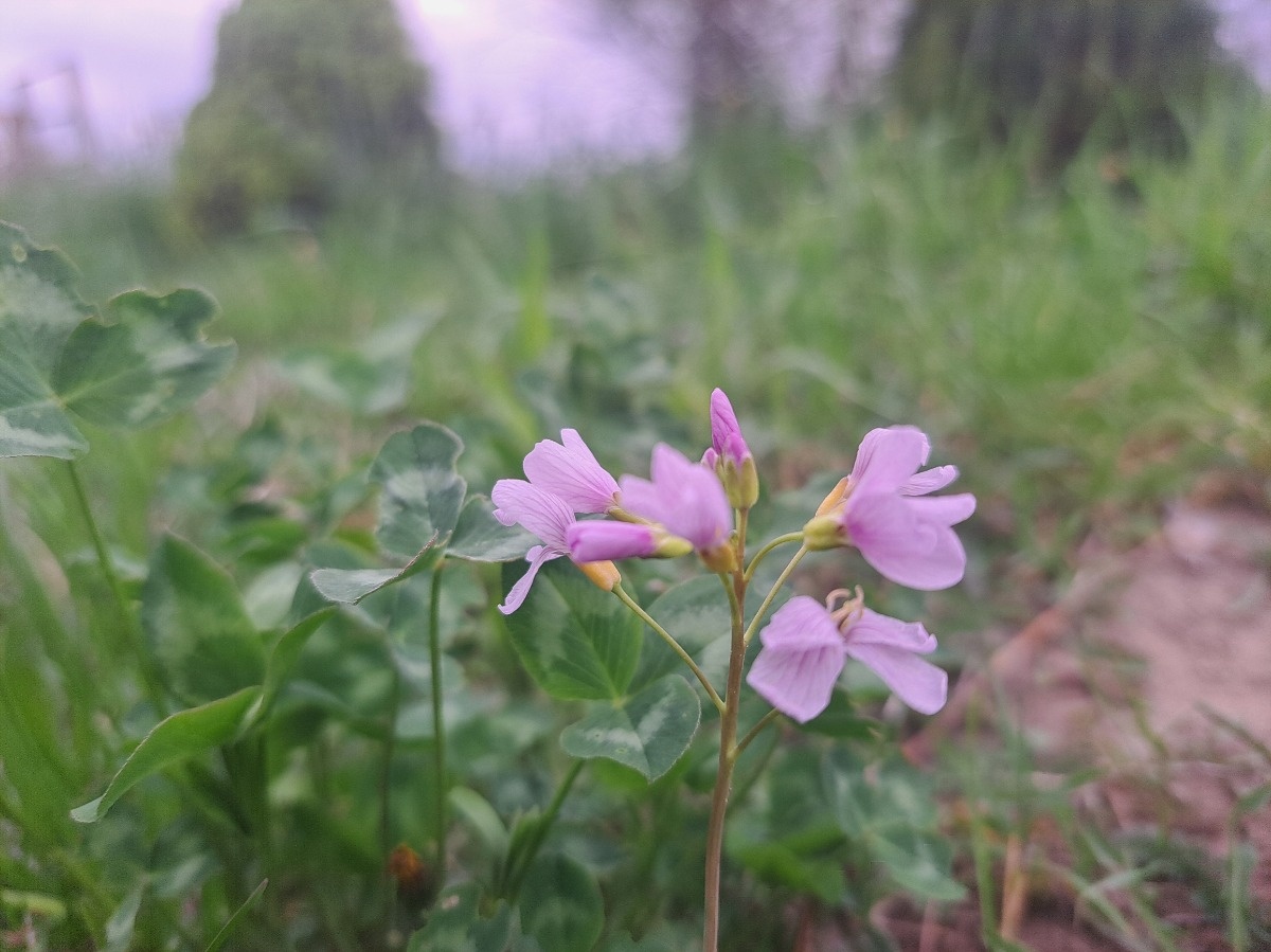 5e456cf6-83d6-4257-8981-9307edabe22c