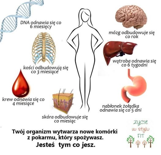 485210f8-750b-4ec5-a4d8-fa71c7cae2ce