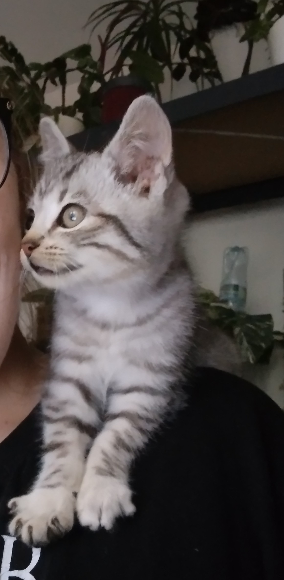 1c72a23c-c2a5-4471-a502-6af16abb8473