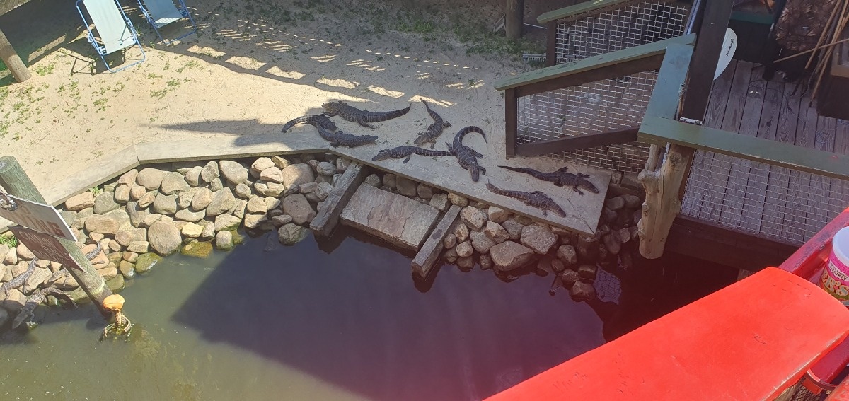 36e4ecf2-421c-4579-a1b2-194e3d733b49