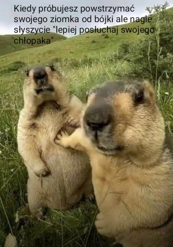 b02fb317-e632-4ada-816e-187ad208c130