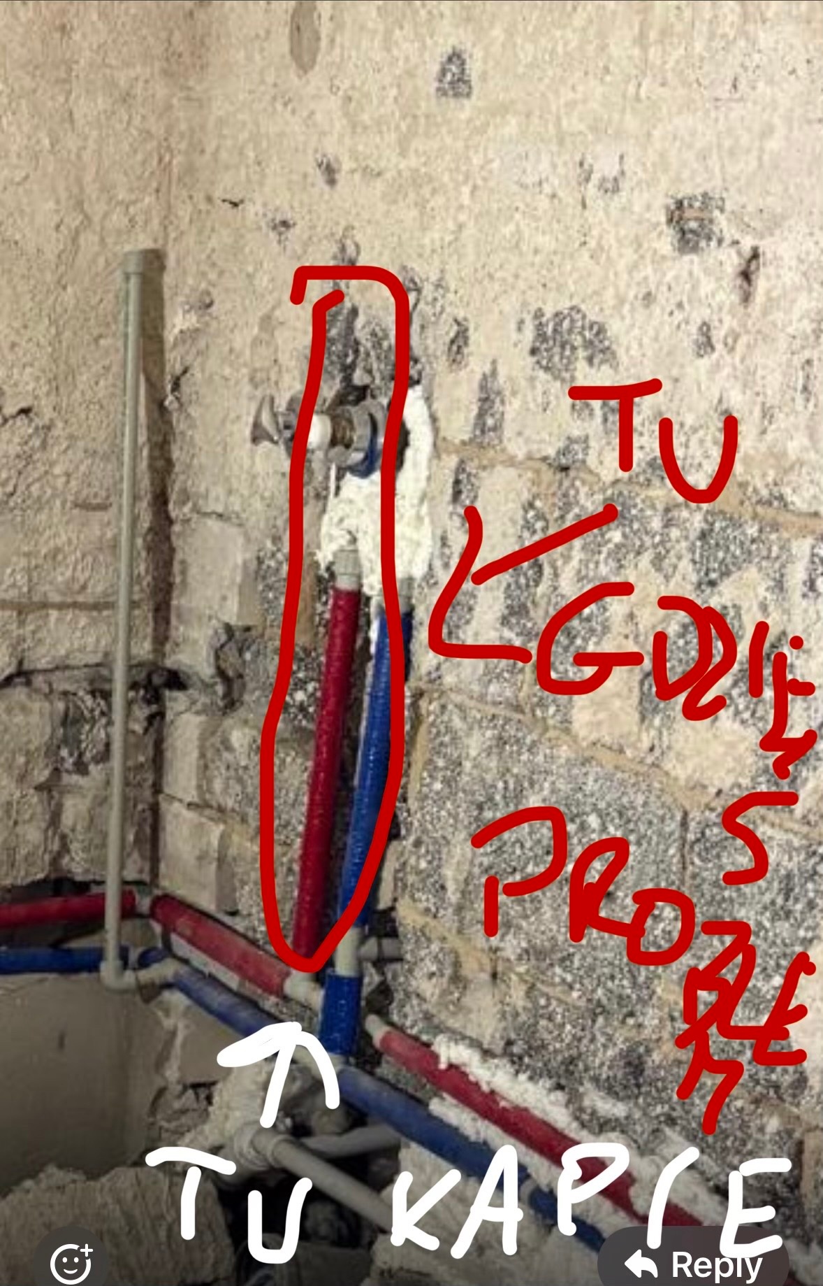 8a1540fb-18d0-477b-b7f2-59b1e82aa794