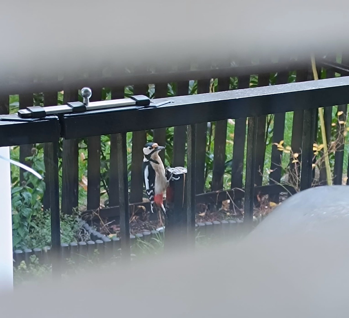 ddbb9c1a-cc87-444e-b2a7-18712001a539