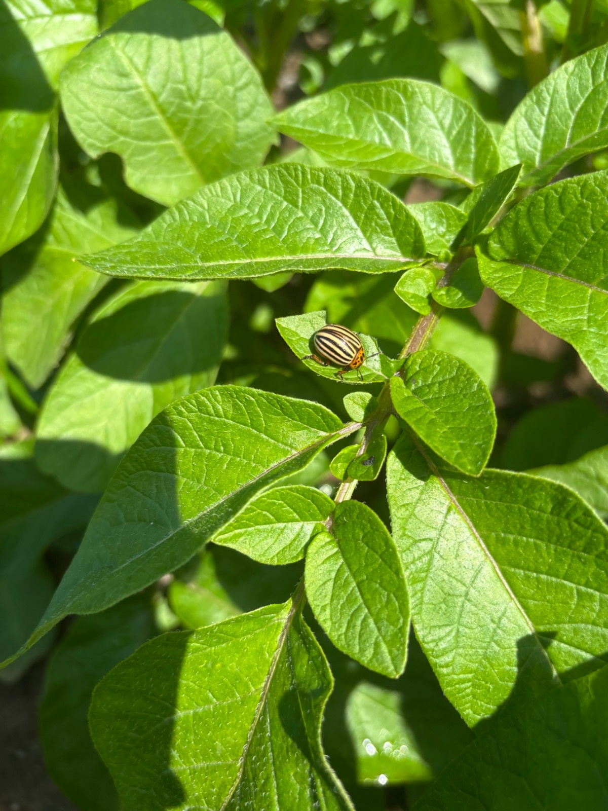 64de1d2a-fa3d-4e6e-a913-c62ec5cb1a3f