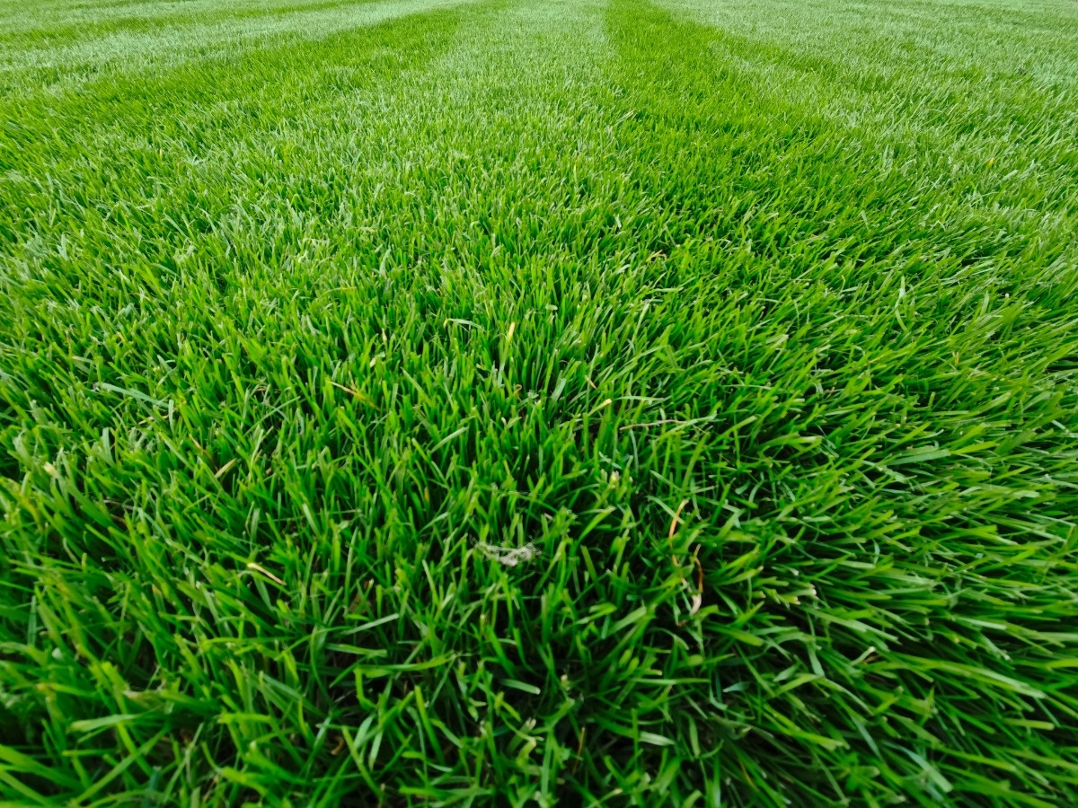 1e1771a9-bd9a-4828-a3b4-6ab977dc40b7