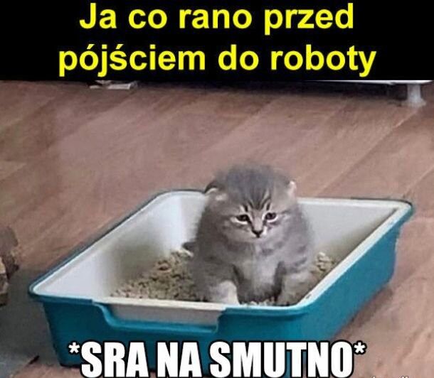 948c884a-331e-4a20-b7c9-ec446afbdc89