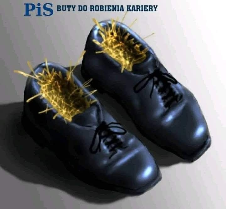 b652e25c-55f3-4289-9d07-99694daafb83