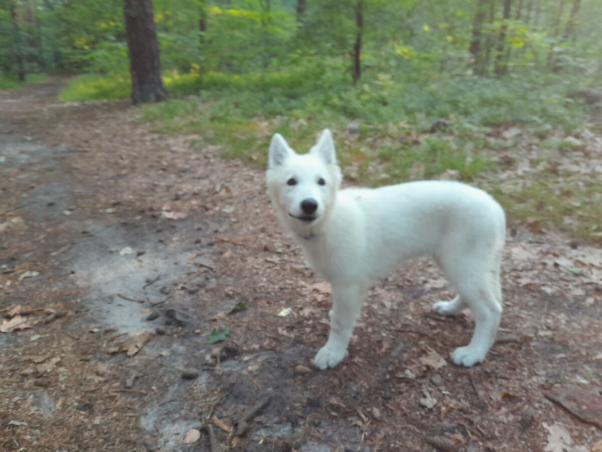 674b8ad1-9b71-4109-9ddb-e6e613edfbbb