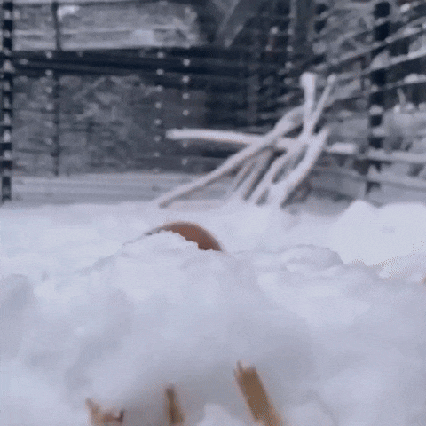 fe0615aa-8335-4891-88f4-20438f62f129