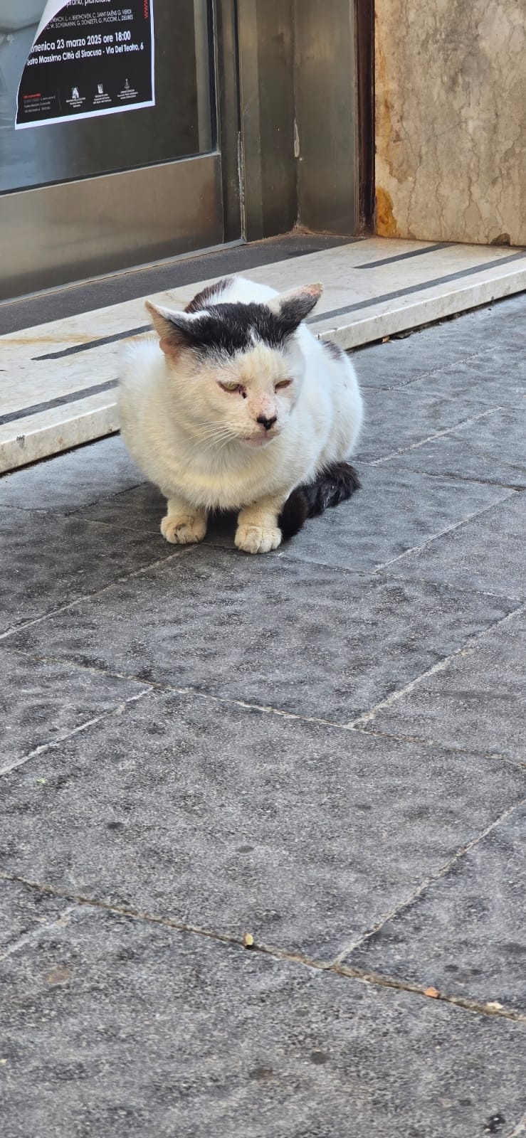 6cde946a-947a-4900-bed2-766ccaa24c30