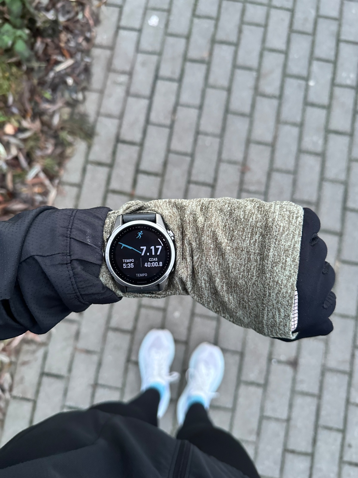 a893e7d7-cba9-4781-8e56-7a27a779929e