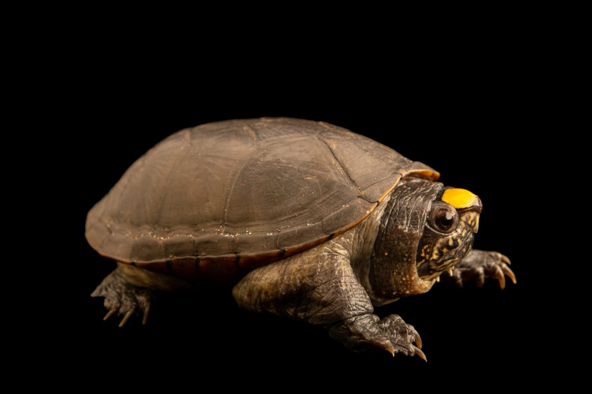 c7a53e27-cb8d-4f26-967b-1a0536df919f