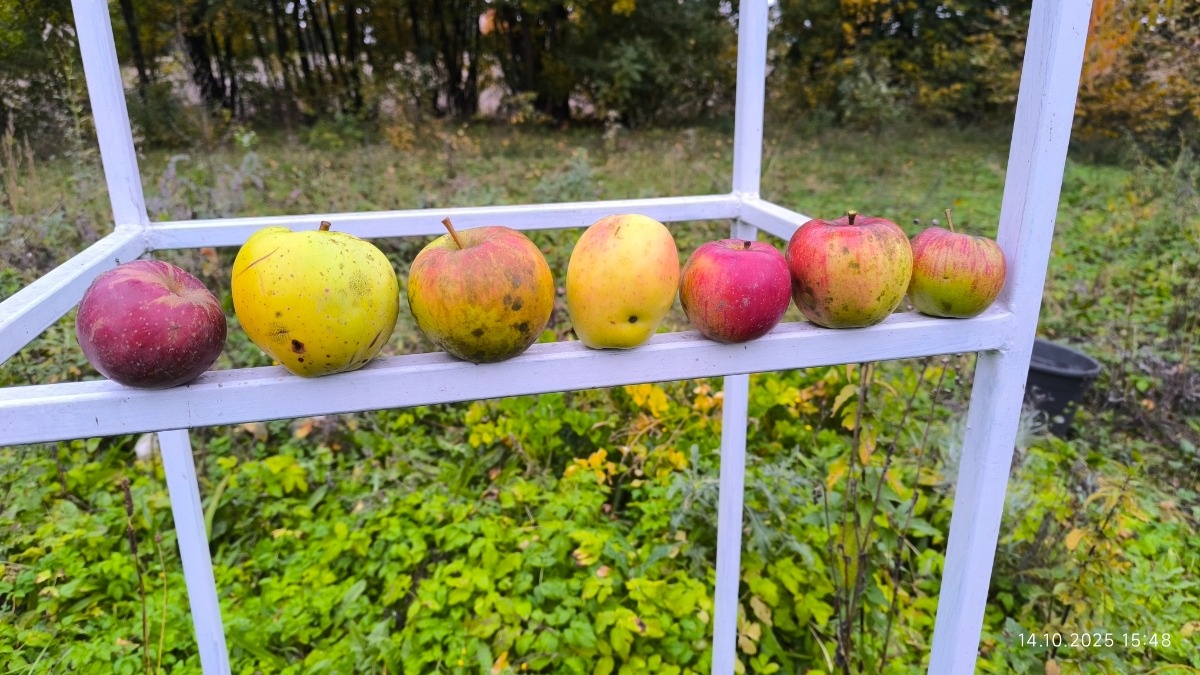 4a630eb5-98ba-4793-a094-cab4b61cd1ba