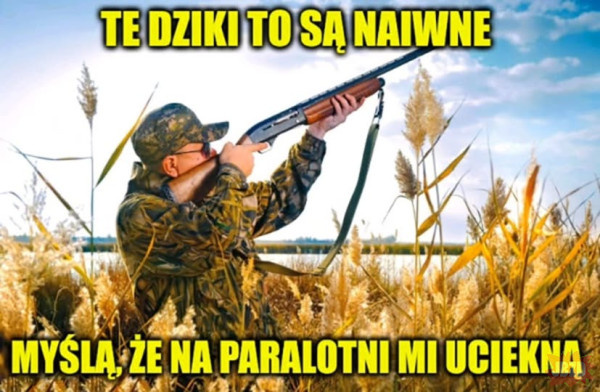 f9143c73-c9ae-4c83-97e5-ef7c080a411d