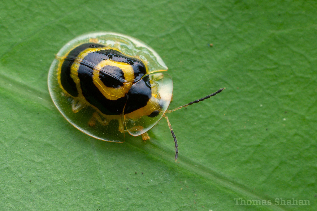 33ad912b-c518-4982-8d9f-b0d098f132a6