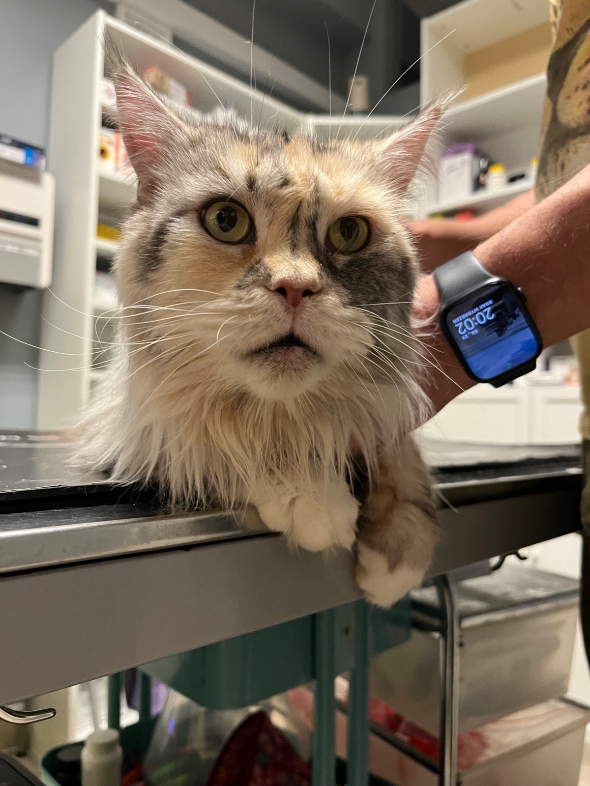 46f964c7-fc7b-4b82-860b-294bc58a945f