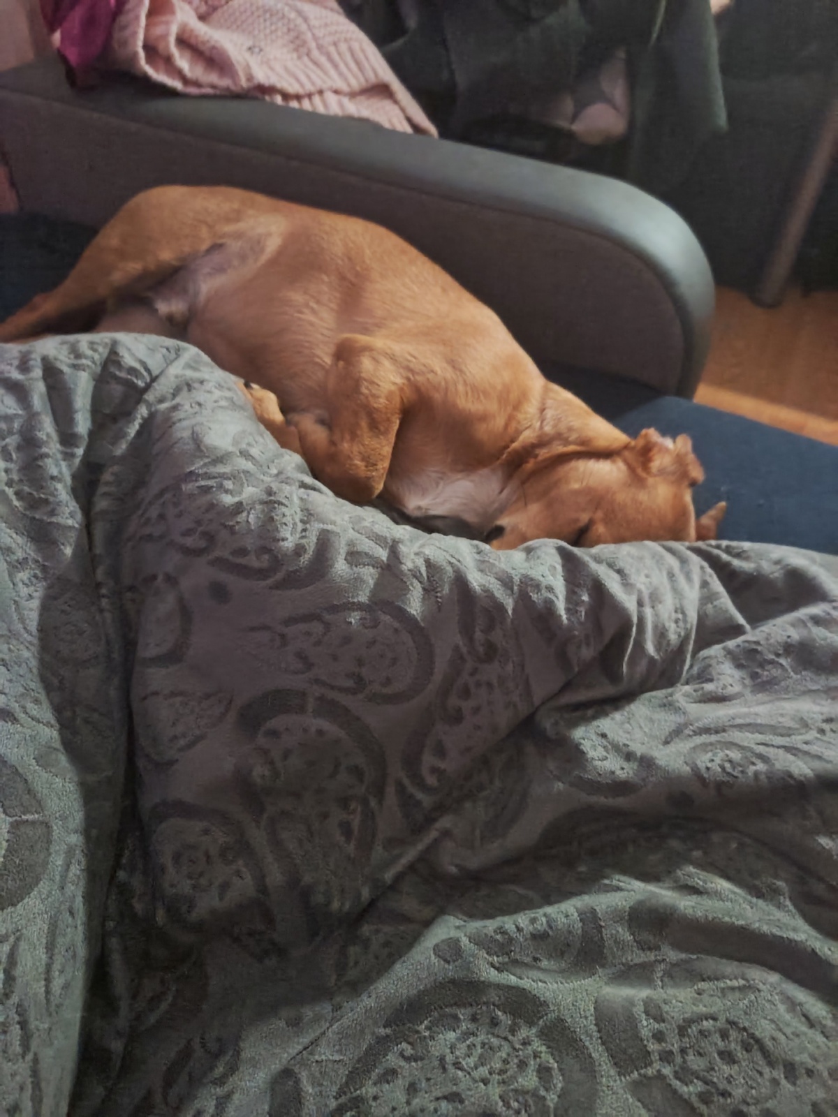 3a8fc1a0-f38f-4f4f-928f-4ea43b53d2b3