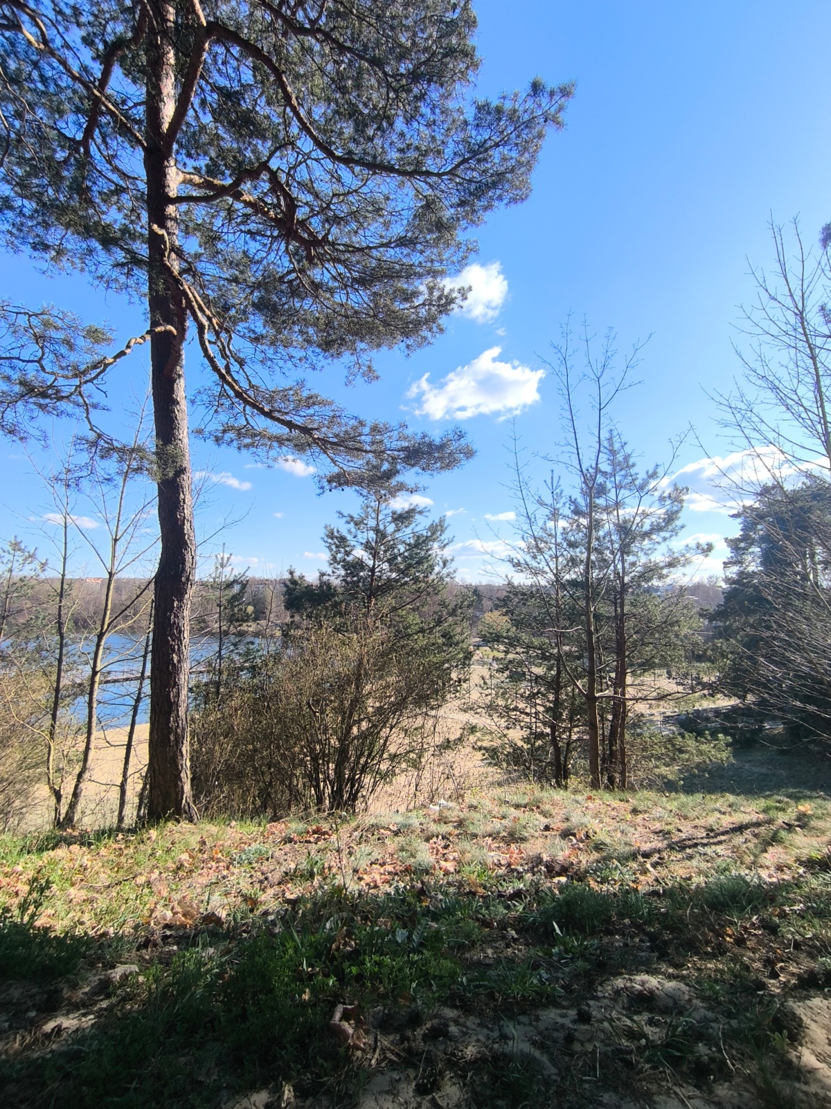 d5fe8d34-bfed-46e4-82a8-b579ded57e3e