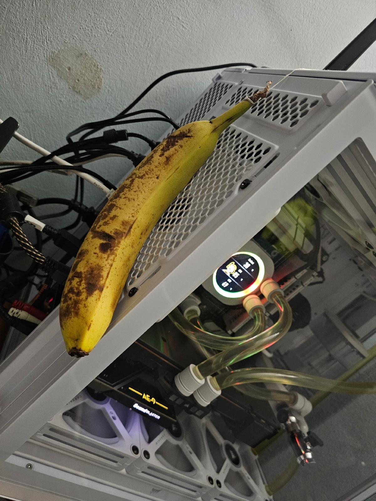 6fd6d484-0401-43b5-8248-9660221d2ca3