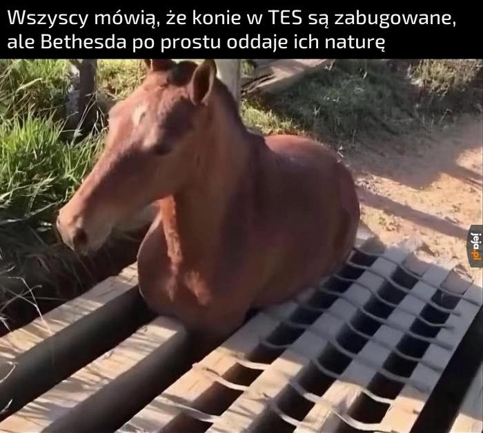 40e41f6f-ab5e-4963-94eb-c321977d606e