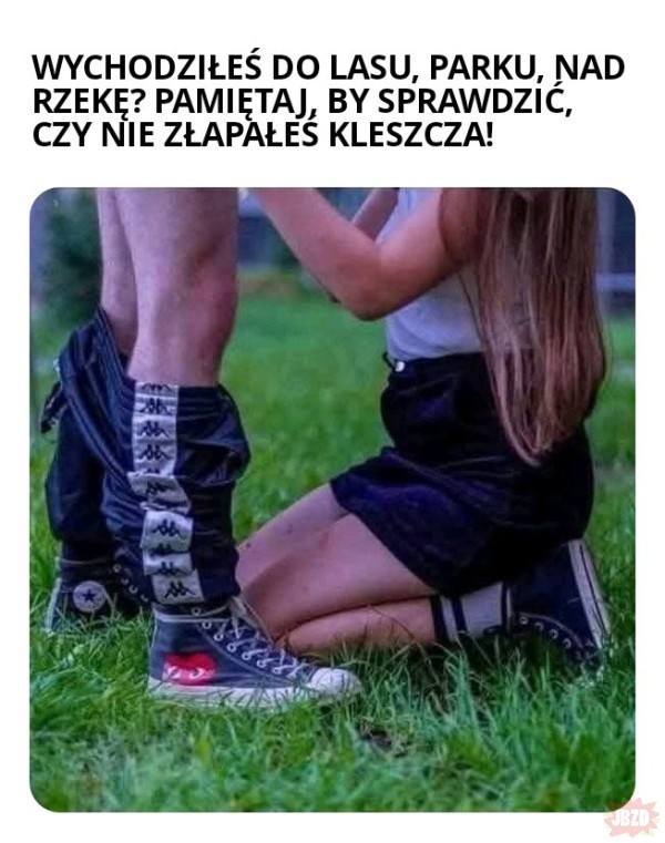 9cfb8c03-838c-43a5-8b69-c872038f0b5c