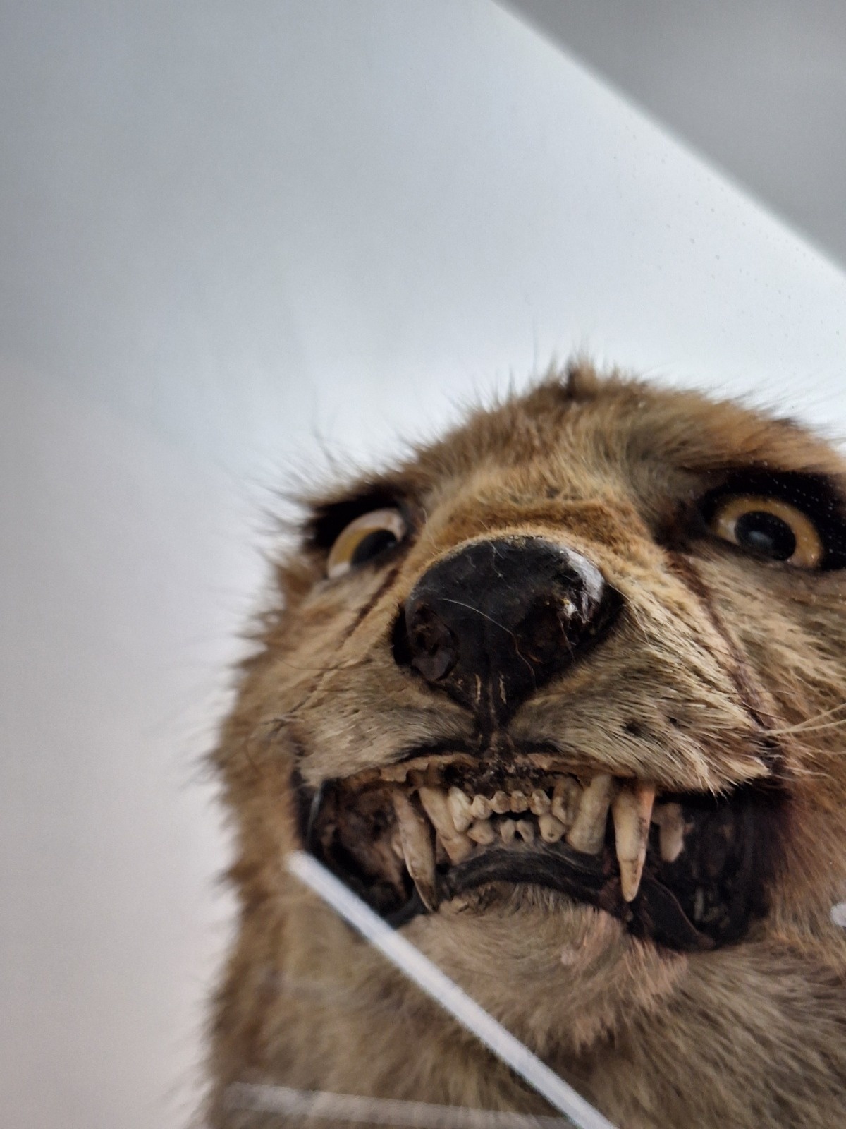 a3f51c65-331d-49e7-b69d-4fc64ed48822