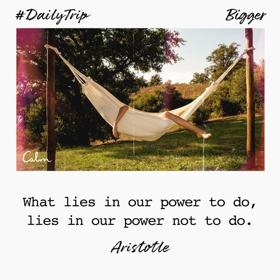 0d009ff1-4a05-4391-b52e-b0cb5ad80333