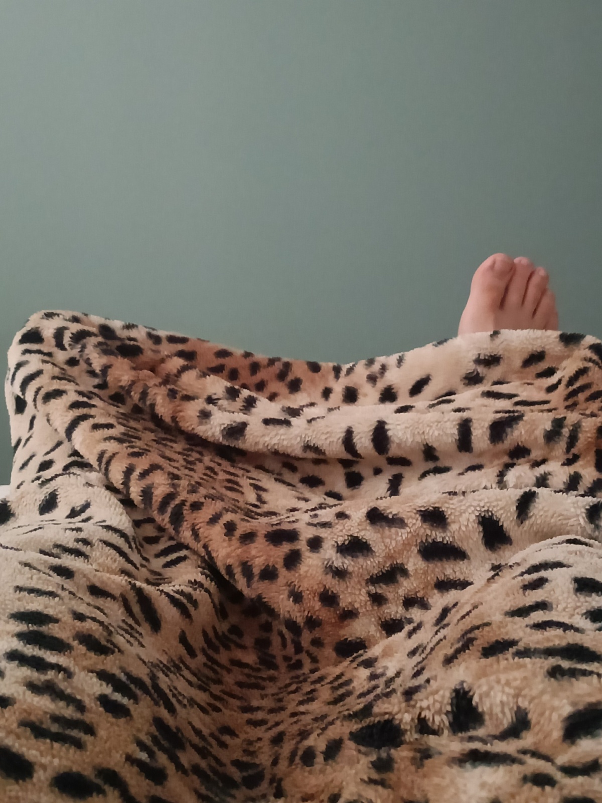 c0bbe49b-b2eb-4ca3-8d3b-2f9ae047c3ef