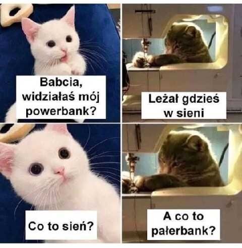 ad542339-d486-4e1b-9fb8-f565d104e9c9