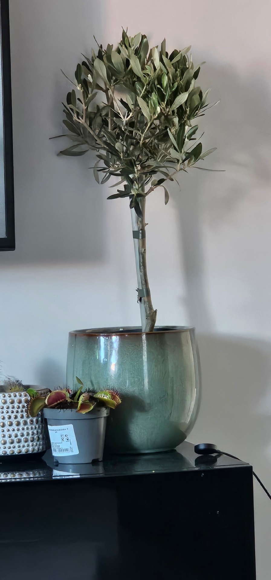 0a39d633-d0f5-4c93-9ace-a6127ea569b9