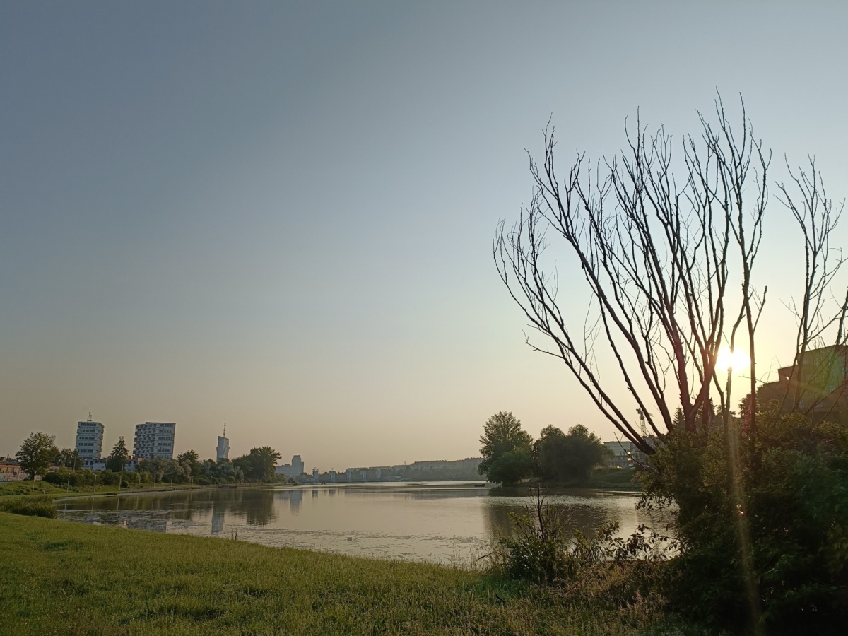 f1da9a0f-e421-49e7-943e-41b695d30516