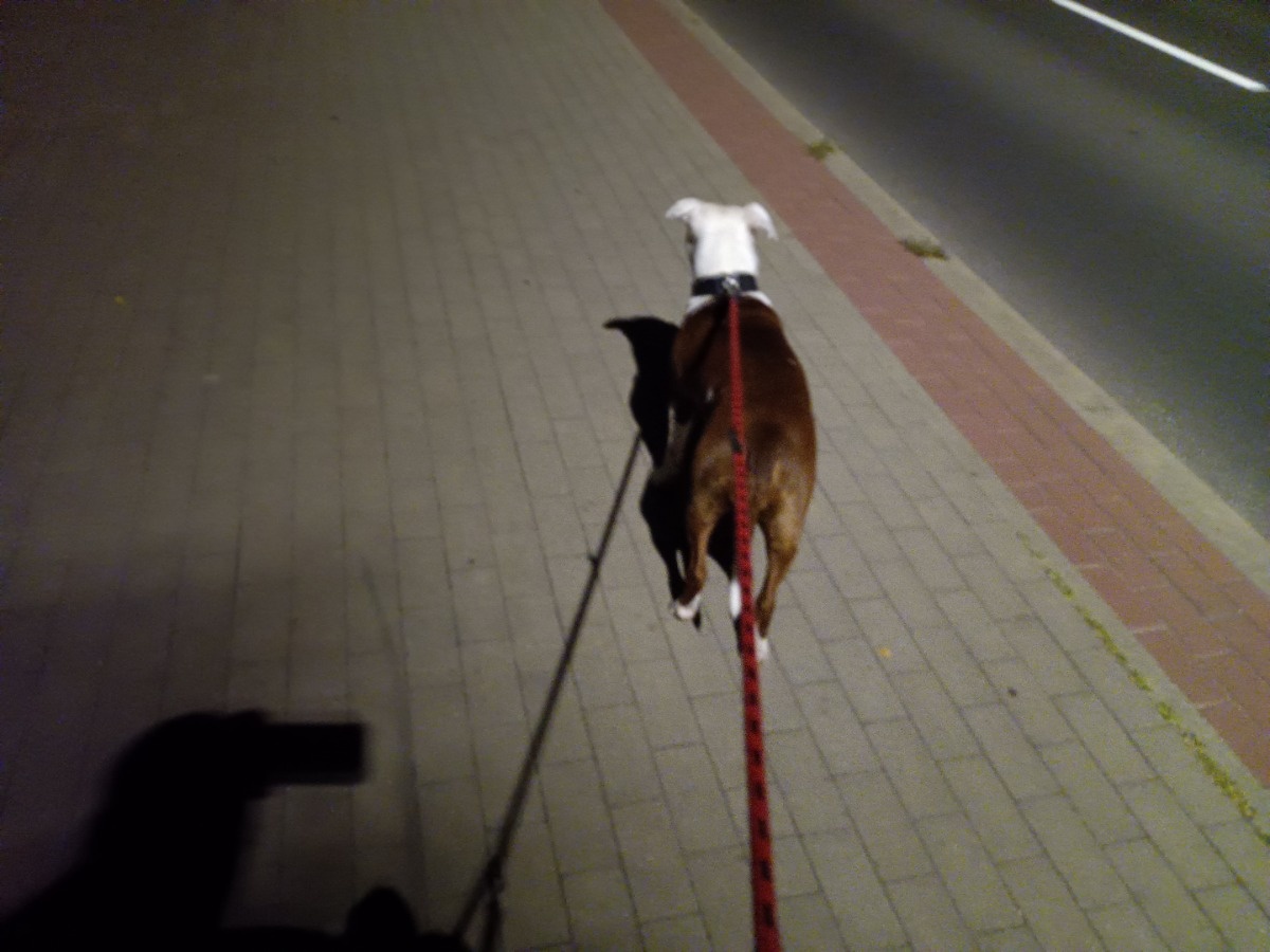 51f568c8-987b-4838-b374-240062fb9df2