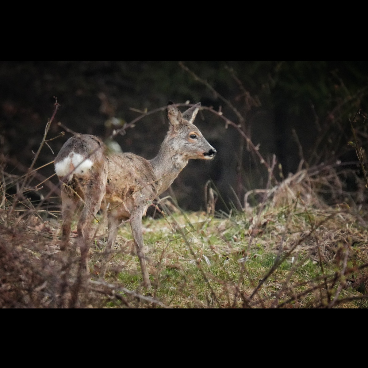 b76e0fa4-5f7e-4861-98c0-c096116f1093