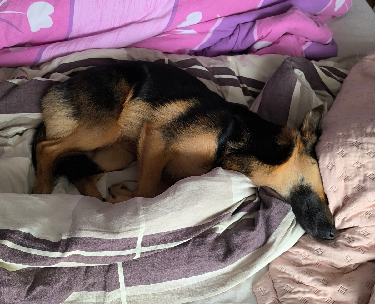 af5108ec-6648-4328-adc9-d500dec8096f