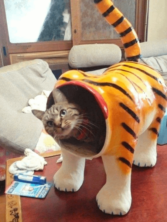 f002c1f6-39ec-4126-b84d-321a75e5a4da