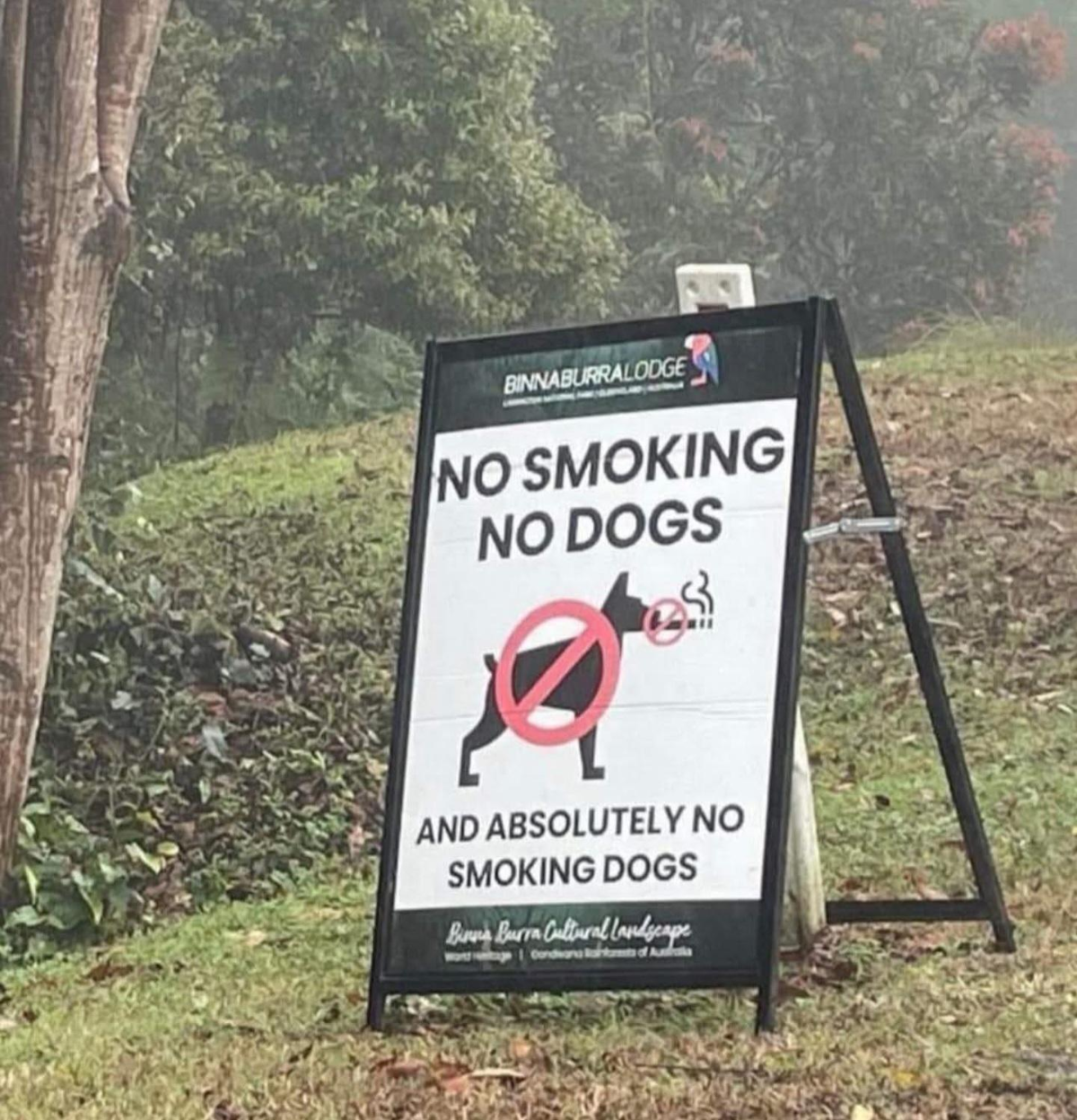 f5b85577-1094-4795-bb8c-0dd640620b68