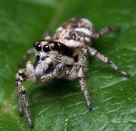 667123ca-01d5-4744-97a3-ae6186114761