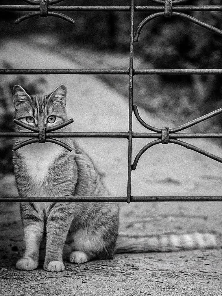 497c0ad6-9d78-49ac-8361-37d8633b40be