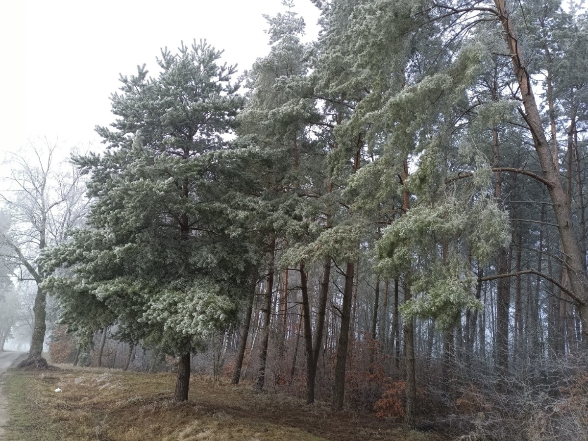 e8fd14aa-8439-4ef9-983e-f1094b063a0e