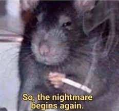 4ccf10c9-606c-44f6-bd0d-37971eca1f2b