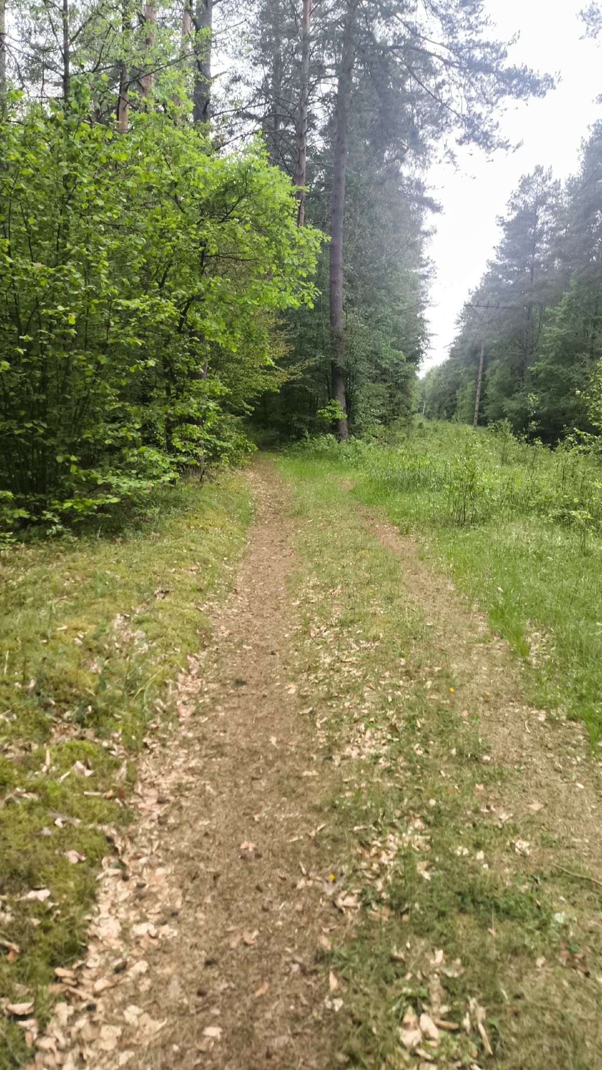 a7251a5c-54a5-4016-8e3d-6d3e92be9b33