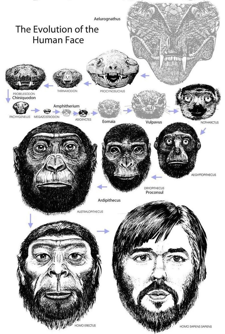 2d35466f-04e0-4723-bde1-c8170ff1741a