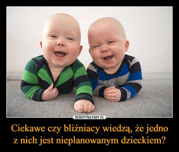 125f5527-725f-46ca-9bb5-5be28749a7b9