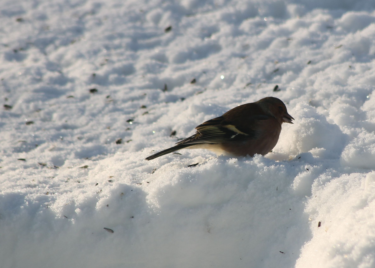 236c054f-5583-458a-a835-475124c281dc