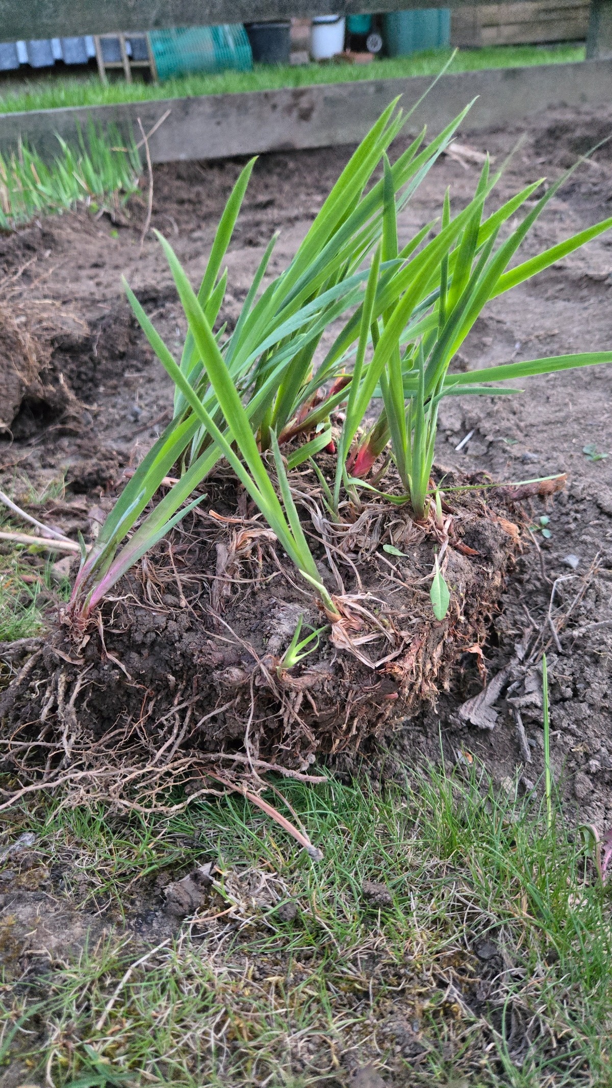 e7b47277-47d4-4558-8bbc-118e7a351754