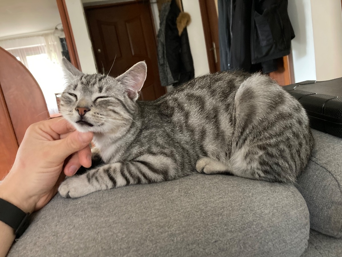 74e92659-d7f1-4669-877d-3427fe027a1b